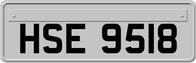 HSE9518