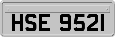 HSE9521