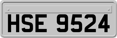 HSE9524