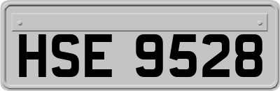 HSE9528