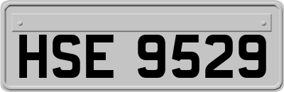 HSE9529
