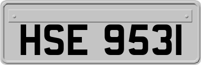 HSE9531