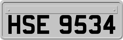 HSE9534