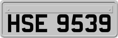 HSE9539