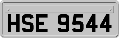 HSE9544