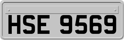 HSE9569