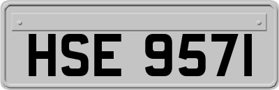 HSE9571