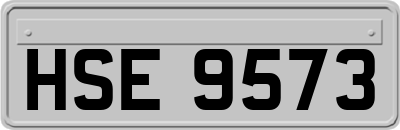 HSE9573