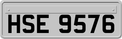 HSE9576