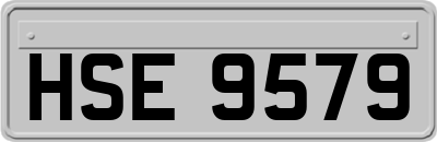 HSE9579