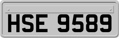 HSE9589