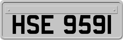 HSE9591