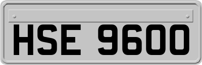 HSE9600