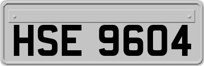 HSE9604