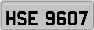 HSE9607