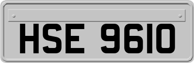 HSE9610