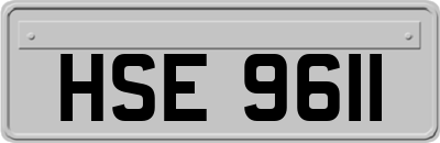 HSE9611