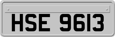 HSE9613