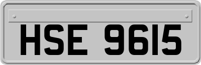 HSE9615
