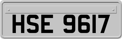 HSE9617
