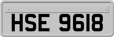 HSE9618