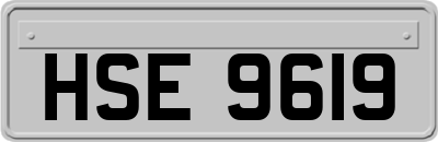 HSE9619