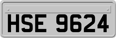 HSE9624