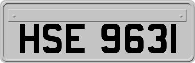HSE9631