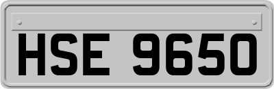 HSE9650