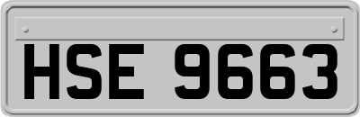 HSE9663