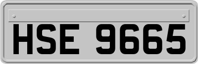 HSE9665
