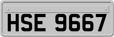 HSE9667