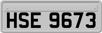 HSE9673