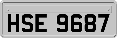 HSE9687