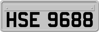 HSE9688