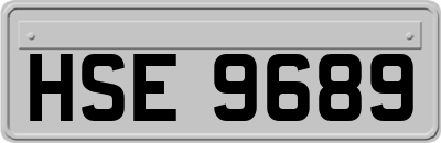 HSE9689