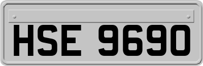 HSE9690