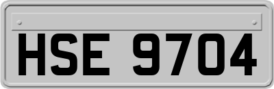 HSE9704