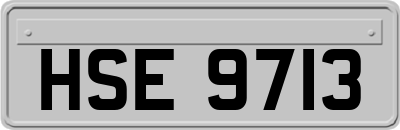HSE9713