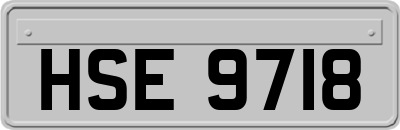 HSE9718