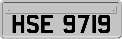 HSE9719
