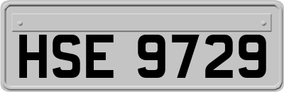 HSE9729