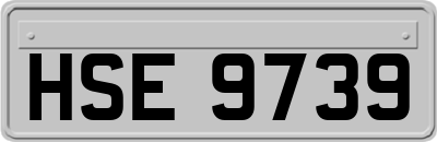 HSE9739