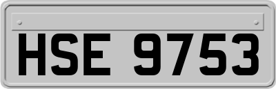 HSE9753