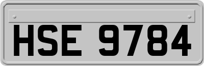 HSE9784