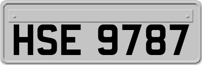 HSE9787