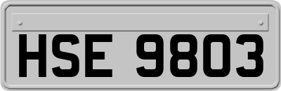 HSE9803