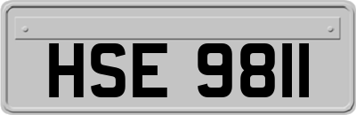 HSE9811