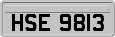 HSE9813