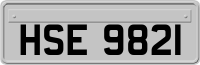 HSE9821